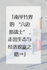南平竹界的 “六边形战士”，走出生态与经济双赢之路→