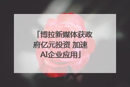 博拉新媒体获政府亿元投资 加速AI企业应用