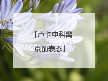 卢卡申科离京前表态