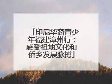 印尼华裔青少年福建漳州行：感受祖地文化和侨乡发展脉搏