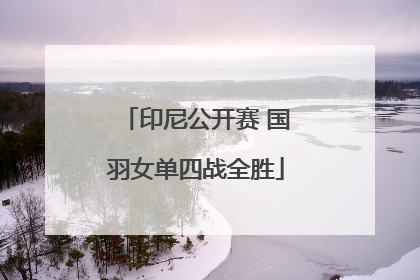印尼公开赛 国羽女单四战全胜