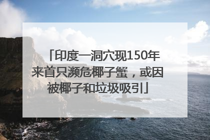 印度一洞穴现150年来首只濒危椰子蟹，或因被椰子和垃圾吸引