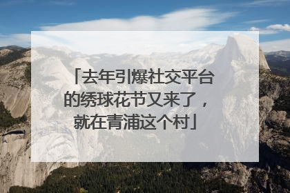 去年引爆社交平台的绣球花节又来了，就在青浦这个村