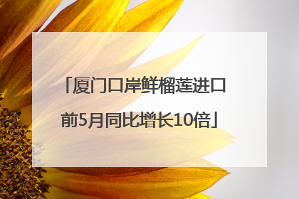 厦门口岸鲜榴莲进口 前5月同比增长10倍