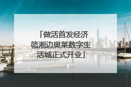 做活首发经济 赣湘边奥莱数字生活城正式开业