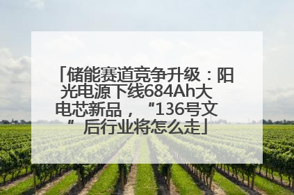储能赛道竞争升级：阳光电源下线684Ah大电芯新品，“136号文”后行业将怎么走