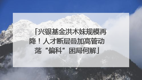 兴银基金洪木妹规模再降！人才断层叠加高管动荡“偏科”困局何解