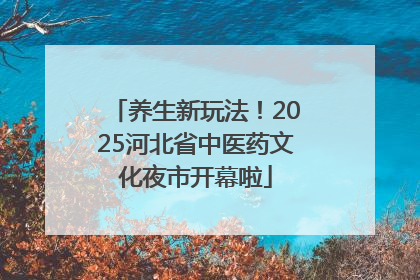 养生新玩法！2025河北省中医药文化夜市开幕啦
