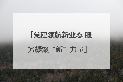 党建领航新业态 服务凝聚“新”力量