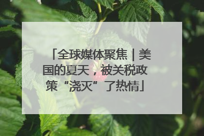全球媒体聚焦｜美国的夏天，被关税政策“浇灭”了热情