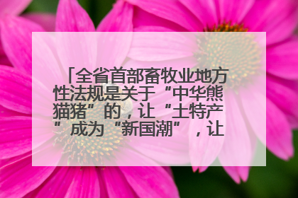 全省首部畜牧业地方性法规是关于“中华熊猫猪”的，让“土特产”成为“新国潮”，让“农产品”升格为“城市IP”