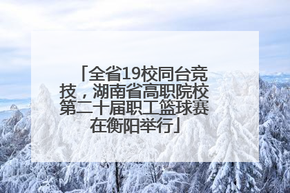 全省19校同台竞技，湖南省高职院校第二十届职工篮球赛在衡阳举行