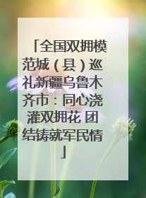 全国双拥模范城（县）巡礼新疆乌鲁木齐市：同心浇灌双拥花 团结铸就军民情