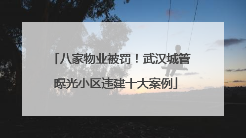 八家物业被罚！武汉城管曝光小区违建十大案例