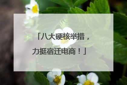 八大硬核举措，力挺宿迁电商！