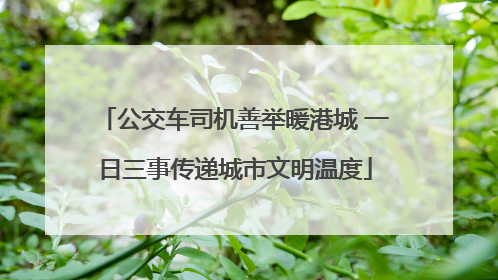 公交车司机善举暖港城 一日三事传递城市文明温度