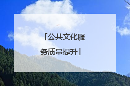 公共文化服务质量提升