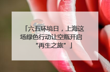 六五环境日，上海这场绿色行动让空瓶开启 “再生之旅”
