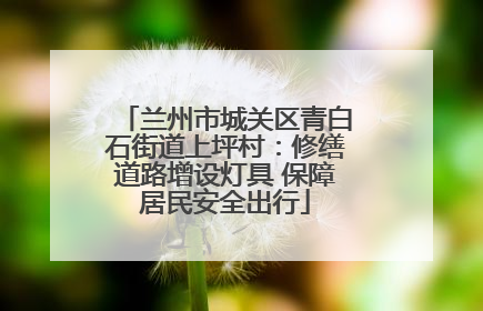 兰州市城关区青白石街道上坪村：修缮道路增设灯具 保障居民安全出行
