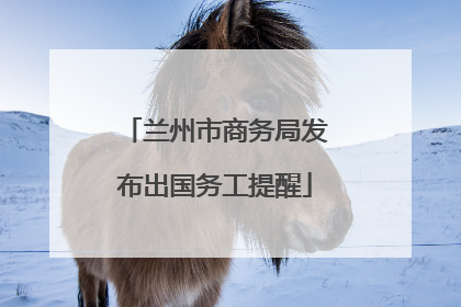 兰州市商务局发布出国务工提醒