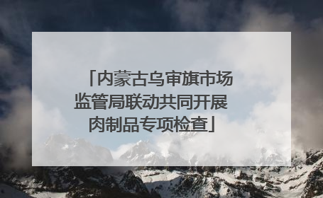内蒙古乌审旗市场监管局联动共同开展肉制品专项检查