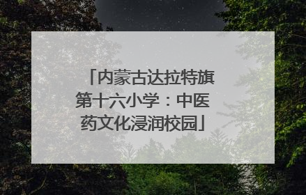 内蒙古达拉特旗第十六小学：中医药文化浸润校园