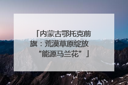 内蒙古鄂托克前旗：荒漠草原绽放“能源马兰花”