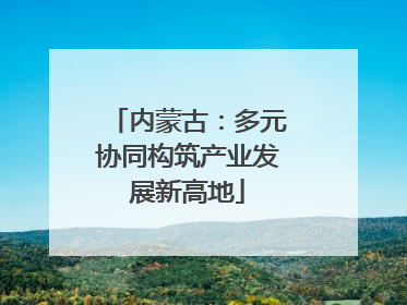 内蒙古：多元协同构筑产业发展新高地