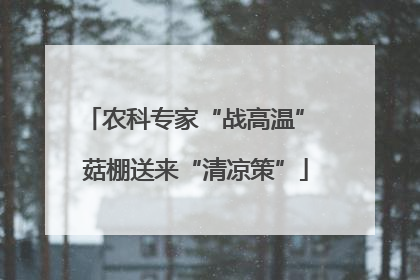 农科专家“战高温” 菇棚送来“清凉策”