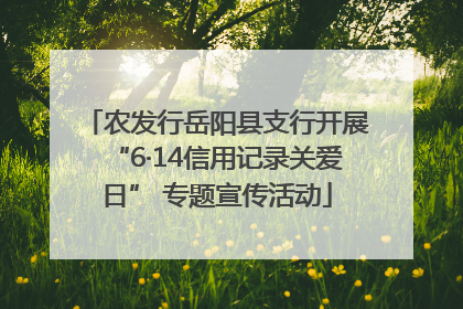 农发行岳阳县支行开展“6·14信用记录关爱日” 专题宣传活动