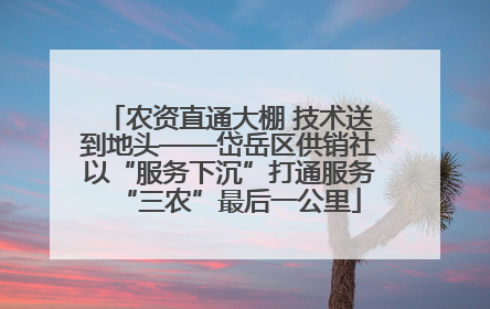 农资直通大棚 技术送到地头——岱岳区供销社以“服务下沉”打通服务“三农”最后一公里