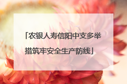 农银人寿信阳中支多举措筑牢安全生产防线