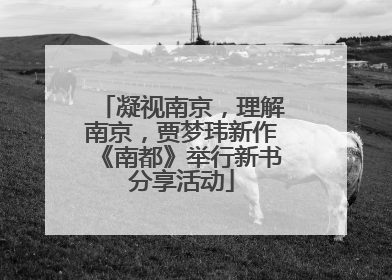 凝视南京，理解南京，贾梦玮新作《南都》举行新书分享活动
