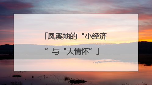 凤溪地的“小经济”与“大情怀”