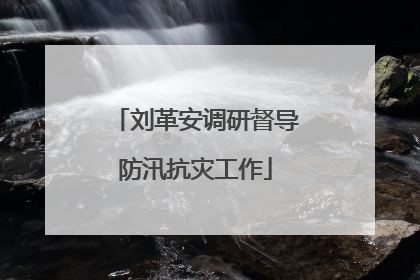 刘革安调研督导防汛抗灾工作