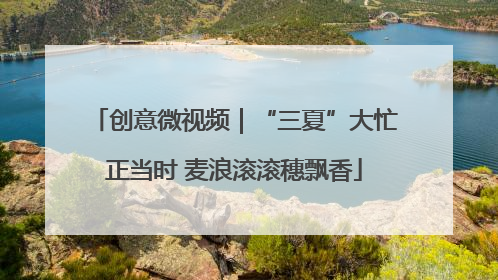 创意微视频｜“三夏”大忙正当时 麦浪滚滚穗飘香