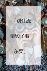 别让流量毁了韦东奕