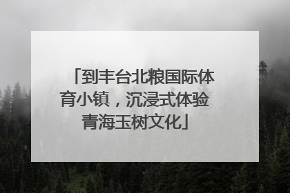 到丰台北粮国际体育小镇，沉浸式体验青海玉树文化