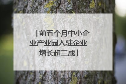 前五个月中小企业产业园入驻企业增长超三成