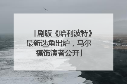 剧版《哈利波特》最新选角出炉，马尔福饰演者公开