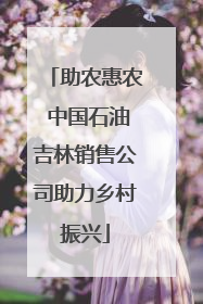 助农惠农 中国石油吉林销售公司助力乡村振兴