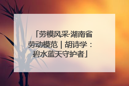 劳模风采·湖南省劳动模范｜胡诗学：碧水蓝天守护者