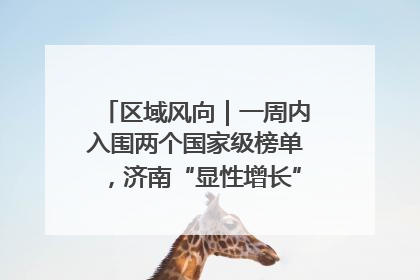 区域风向｜一周内入围两个国家级榜单，济南“显性增长”刷新城市影响力