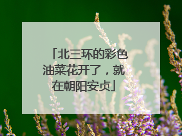北三环的彩色油菜花开了，就在朝阳安贞