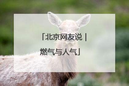 北京网友说｜燃气与人气