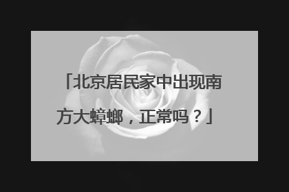 北京居民家中出现南方大蟑螂，正常吗？