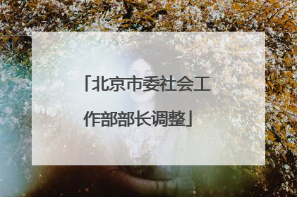 北京市委社会工作部部长调整