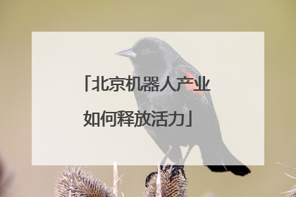 北京机器人产业如何释放活力