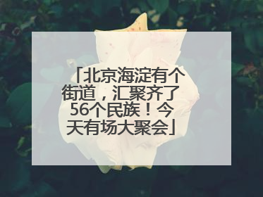 北京海淀有个街道，汇聚齐了56个民族！今天有场大聚会