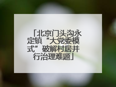 北京门头沟永定镇“大党委模式”破解村居并行治理难题